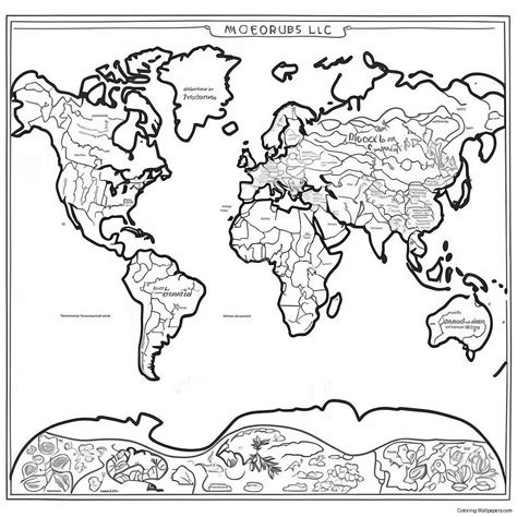 Detailed World Map Coloring Page (9671-7785)