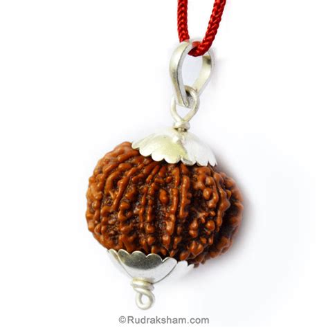 Collector Pendant – Rudraksham