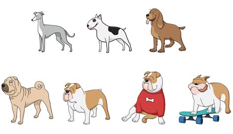 Dog Name Generator - random animal generator