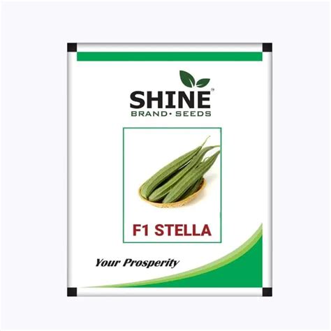 Buy Shine Stella Ridge Gourd Seeds for Healthy Green Harvest - KisanShop