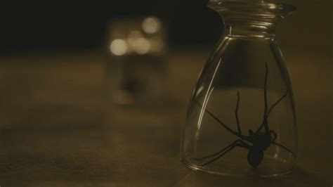 Image result for Infested 2002 Putlocker