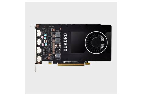 Nvidia 5GB P2200 DDR5X Quadro Professional Graphics Card – Computerspace