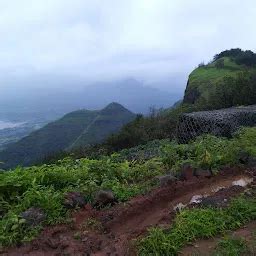 Saguna Baug - Resort hotel - Malegaon - Maharashtra | Yappe.in