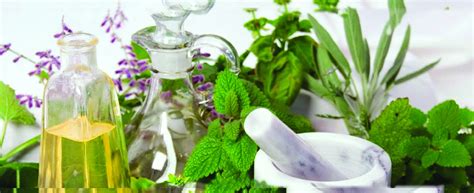 Dolphin International