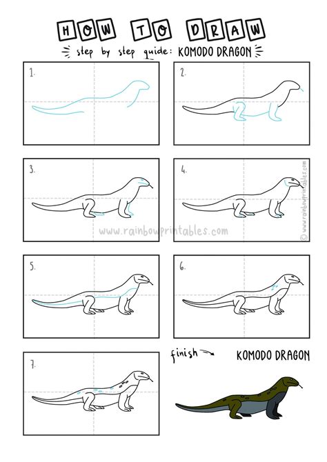 Komodo Dragon Drawing Step Step