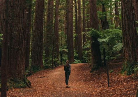 The Ultimate Guide to the Best Long-Term Travel Insurance - Travel Folk