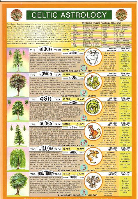 Which celtic tree astrology sign are you and what it says about you ...