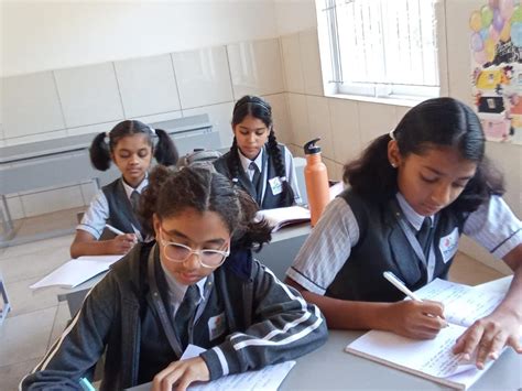 Bhashini International School, Mandoli