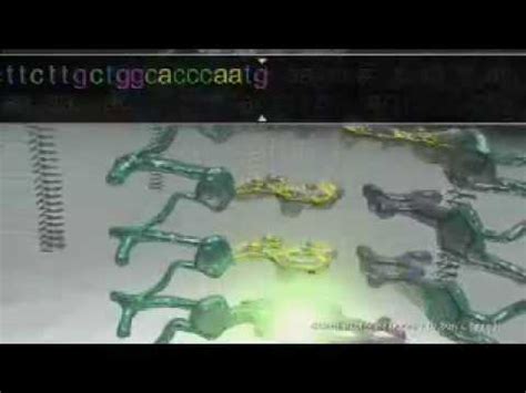 Microarray Method 的图像结果