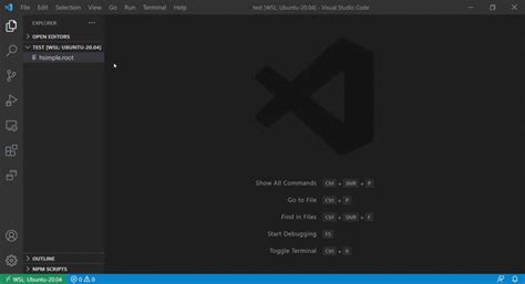 Image result for What Extensions to Use for JavaScript in Visual Studio Code
