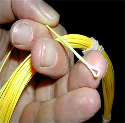 Image result for Loop to Loop Connection Fly Line to Backing