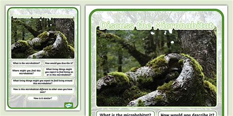 Image result for Microhabitat Examples