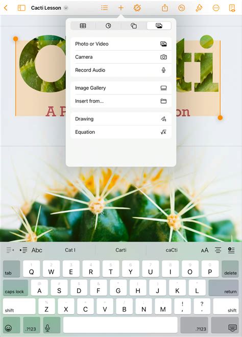 Pages App Image Fill 的图像结果