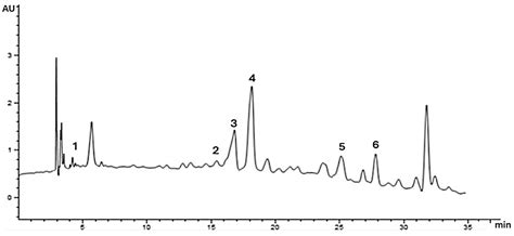 Antioxidant and Biological Activity of Mexican Madroño Fruit (Arbutus ...