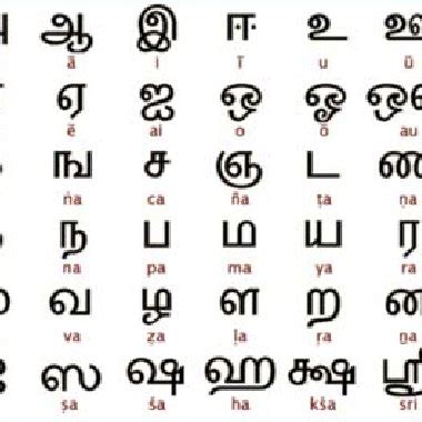 Image result for Tamil Script Writing