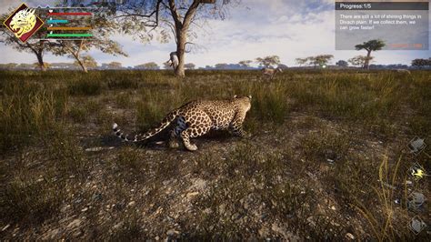 Lightning Fast Game 的图像结果