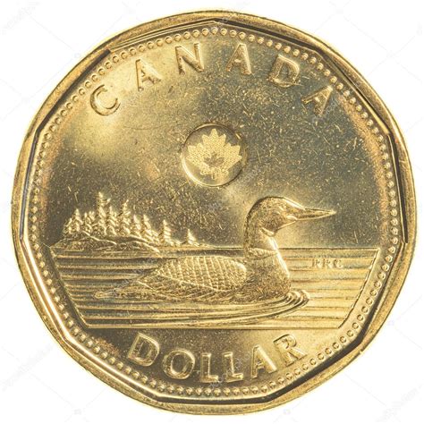 1 canadian dollar coin isolated on white background — Stock Photo ...