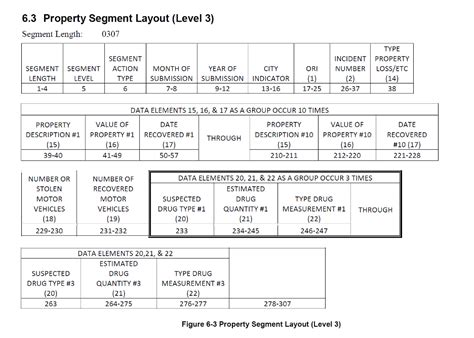 How to Use NIBRS 的图像结果