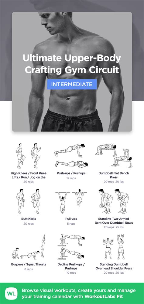 Upper Body Workouts Dumbbells | EOUA Blog