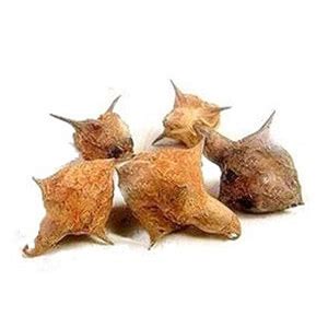 Seabuckthorn Empower-X Juice | Biosash