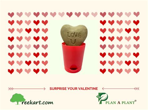 Plant Heart | Seed Heart – Treekart.com