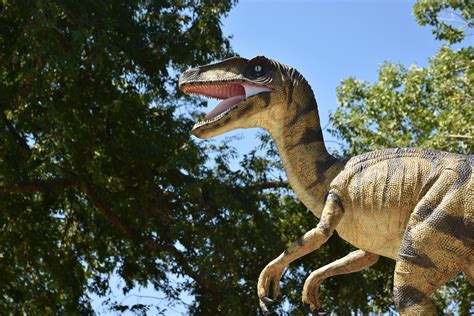 The 6 most famous dinosaurs in history