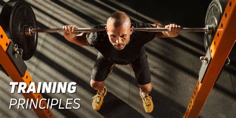 Principles of Training 的图像结果