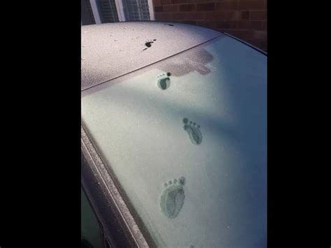 Mysterious four-toed footprints appears atop car | 'Don't quite look ...