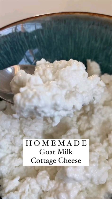 How to make the best goat milk yogurt – Artofit