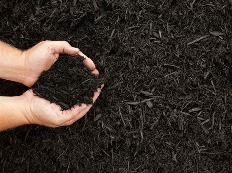 Refreshing Garden Mulch – What To Do With Last Year’s Mulch