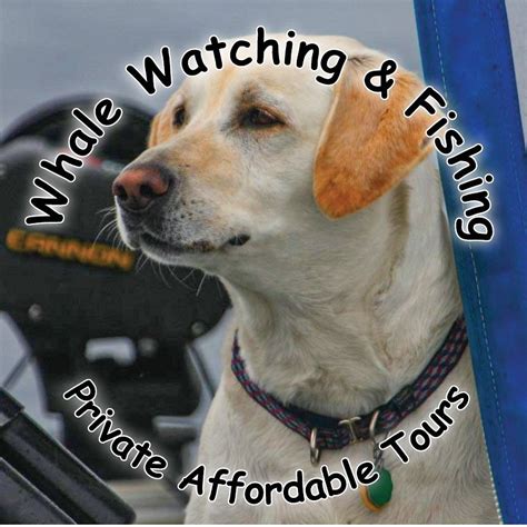 RUM RUNNER CHARTERS (2026) All You Need to Know BEFORE You Go (with ...