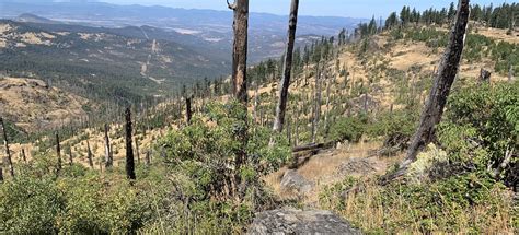 Grizzly Peak Trail, Oregon - 1,687 Reviews, Map | AllTrails