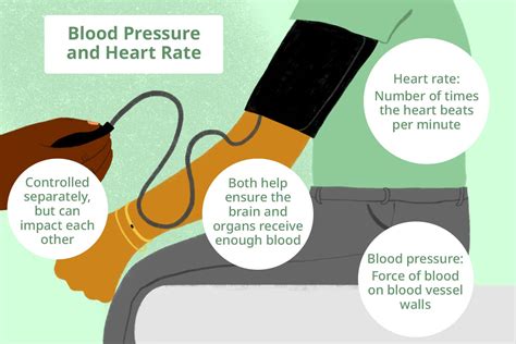 What Is Normal Pulse Rate 的图像结果