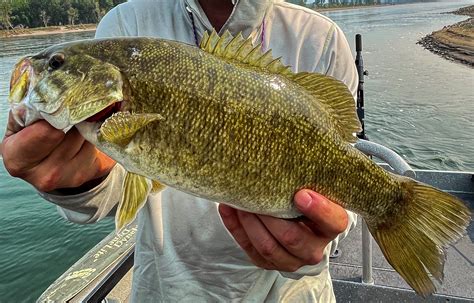 Five Things We Like in the 2023-24 Proposed Fishing Regulations ...