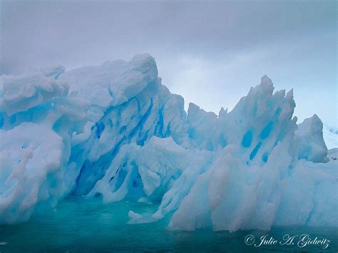 Antarctica 的图像结果