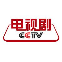 CCTV Logo.png