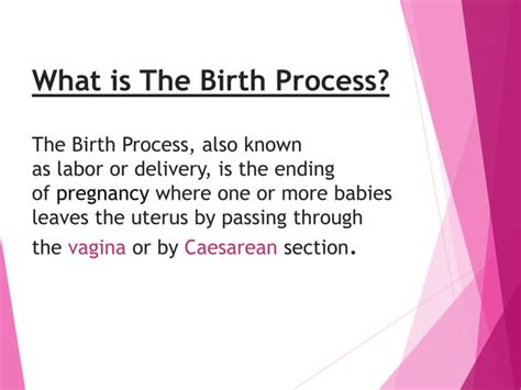 Image result for Humans Actually Making a Baby