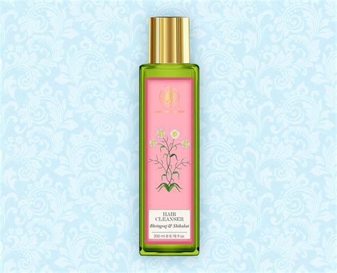 Amazon Great India Sale 7 Best Shampoo For Dry And Damaged Hair With ...