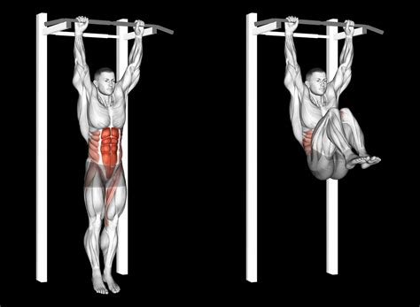 Hang Knee Raises
