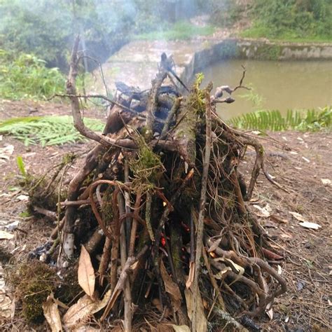 VAMOOSETRAIL RIMBICK - B&B Reviews, Photos, Rate Comparison - Tripadvisor