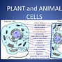 Image result for cell name 的名称