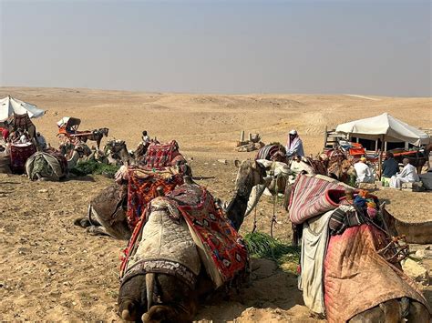 PYRAMIDS LAND TOURS (2026) All You Need to Know BEFORE You Go (with ...