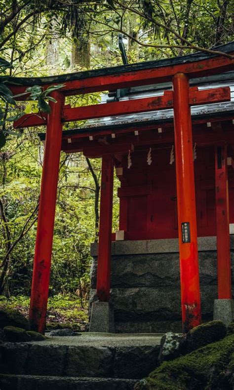 Download wallpaper 480x800 torii gate, temple, shrine, japan ...