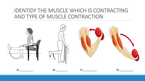 Image result for Contraction Types Exercise