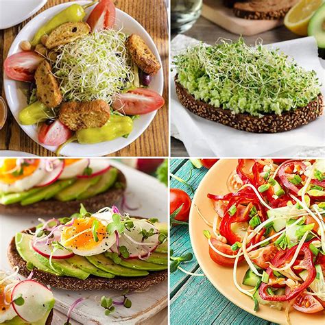 Buy 2 Pack Seeds Sprouting Kit, Mason Jar Germination Growing Kits ...