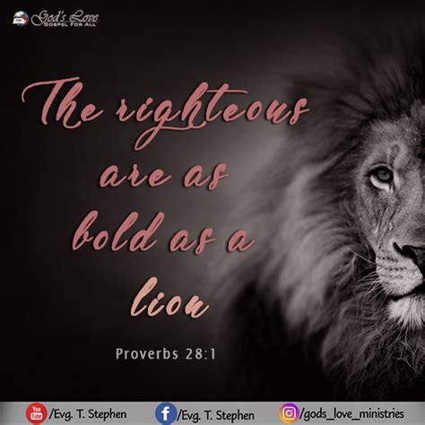 Proverbs 28:1 :: God's Love Ministries - Today's Promise