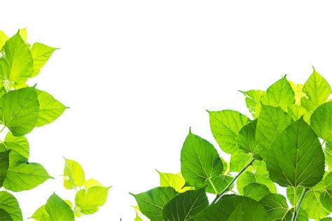 Image result for Un Sample Script