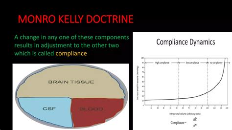 CSF Pathway Flow Chart 的图像结果