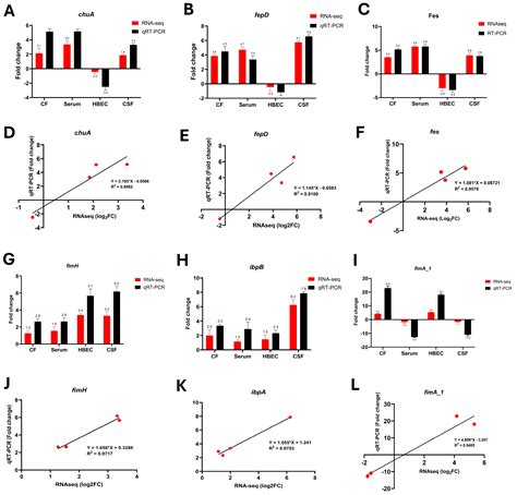 From the Gut to the Brain: Transcriptomic Insights into Neonatal ...