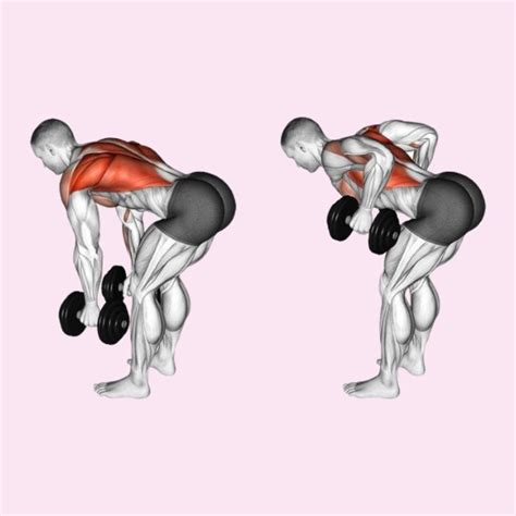 Lower Back Dumbbell Exercises